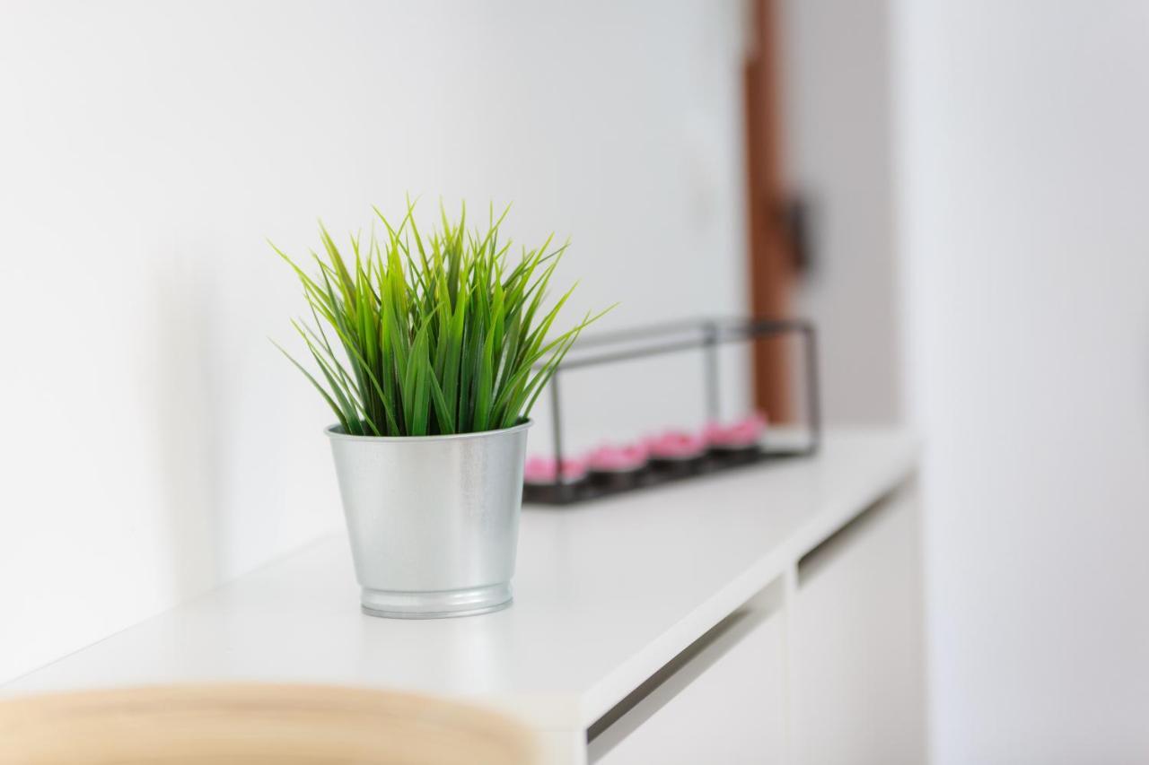 Appartement Green Corner *** à Rijeka Extérieur photo